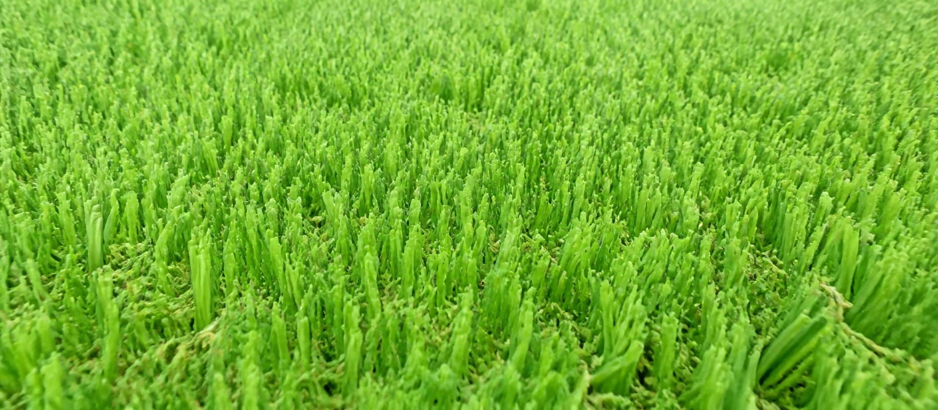 Anfield synthetic turf sample