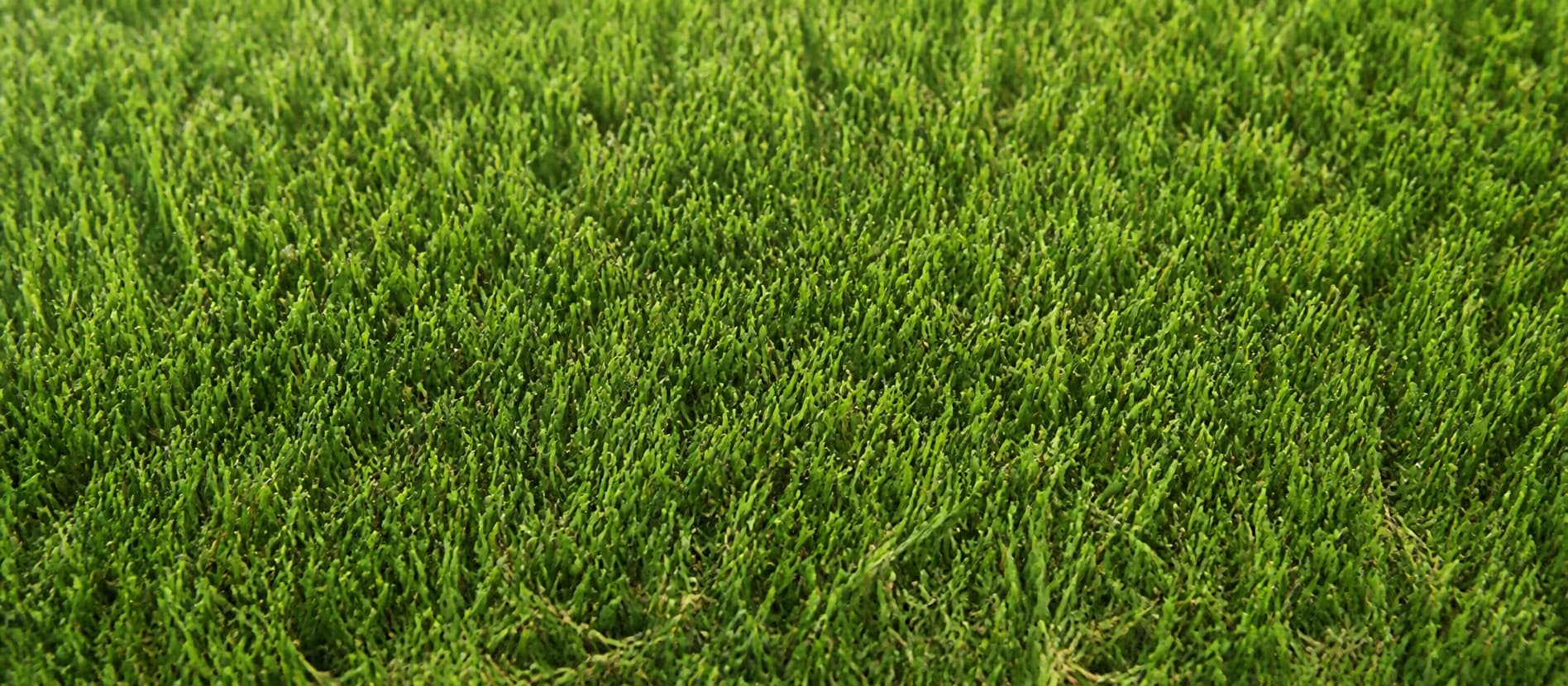 Celtic synthetic turf sample