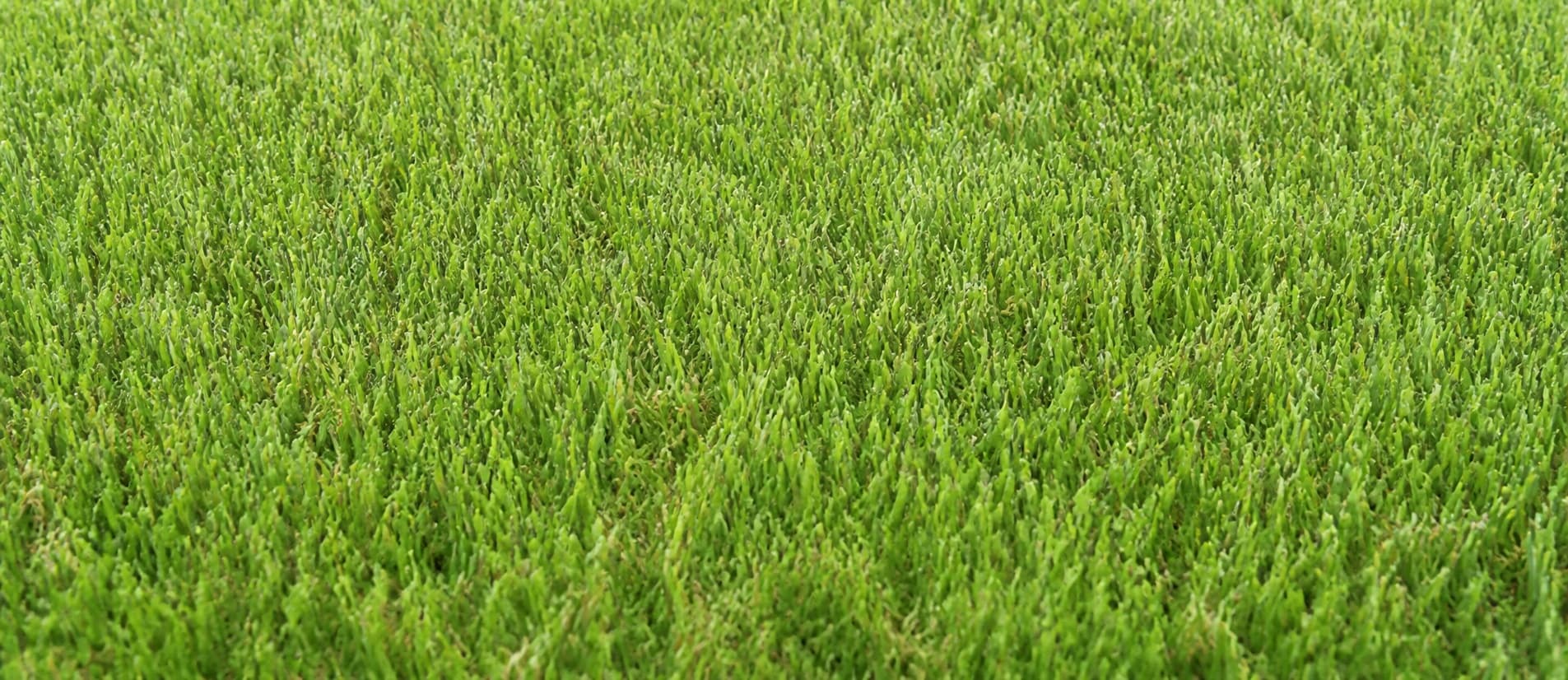 Stanford synthetic turf sample