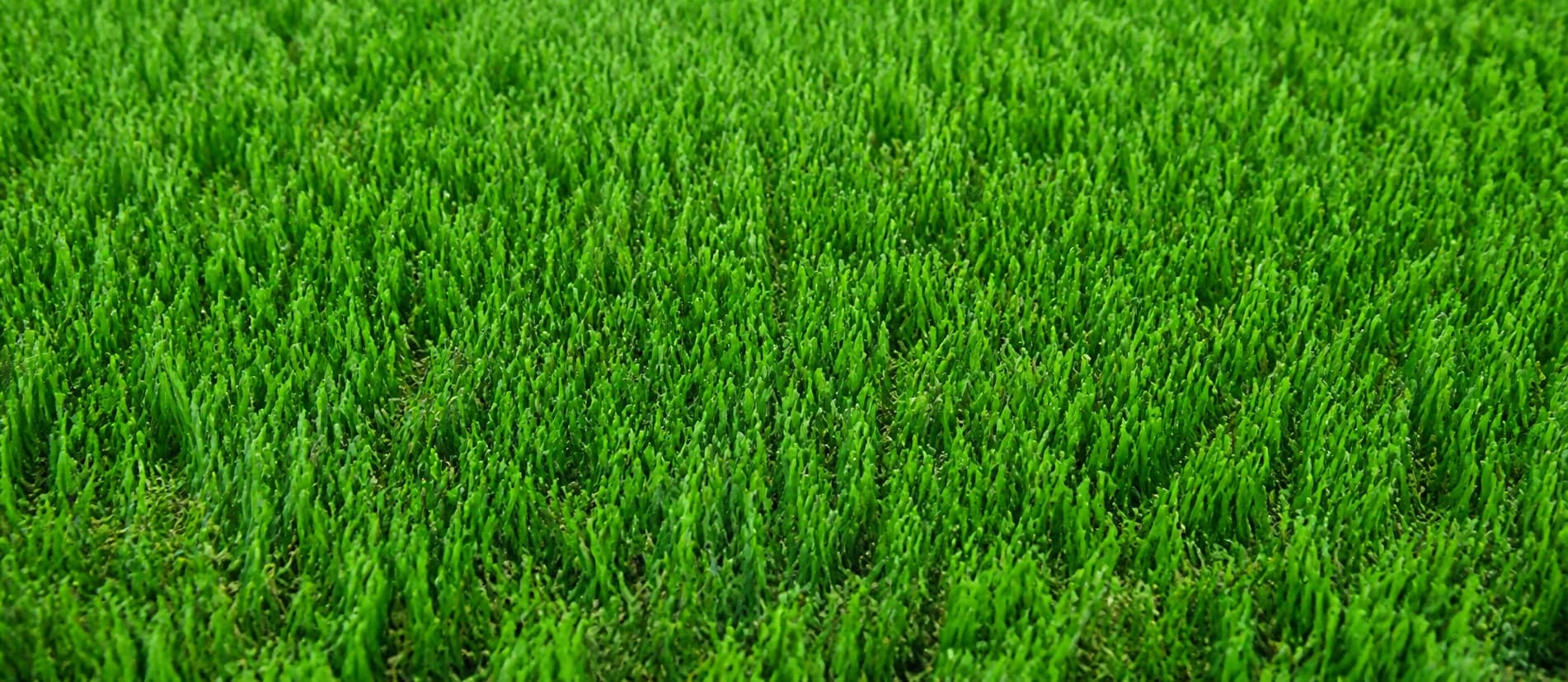 Wembley synthetic turf sample